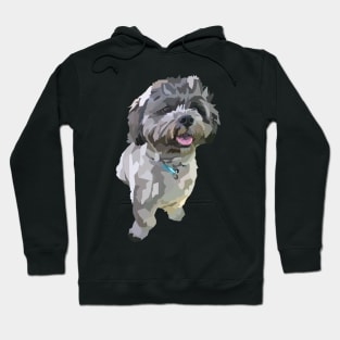 Cute Brown dog Cockapoo Shitzu Hoodie